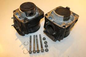 3006-454 Arctic Cat 2003 Mountain 900 Engine Motor Cylinder Bore Jug Piston