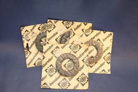 420830402 Bombardier 2 Genuine Ski-doo 420 8304 02 Oil Seals Nos