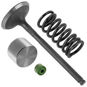 3007860 Caltric Va244 Xs144 Xa198 Xl102 Exhaust Valve Kit For Arctic Cat Bearcat Z1 Xt Lt 2010-2014 / 3007784