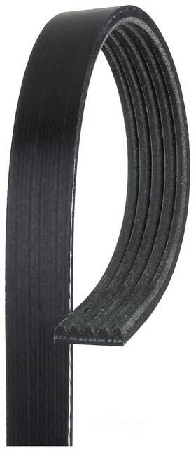 K050271 Gates Serpentine Belt