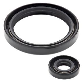 55104 New Winderosa Sealing Gaskets For Ski-doo Alpine Ii 93-95 Iv 90 91