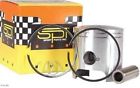 701-1130 Piston 700 Cat .std. Arctic Spx