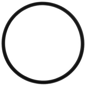 0452982 Polaris O-ring