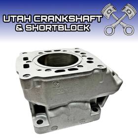 3086112 Polaris New Plated 700 Xcr Triple Ec70pl Cylinder Std 1999