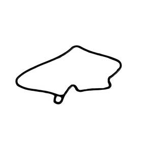 3131105 Polaris O-ring