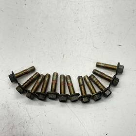 7518385 Polaris Screw 6mm X1.0 - 2018 Pro S 800 Switchback