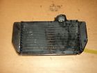 8gc-12461 Radiator Comp Yamaha 2007 Phazer Pz50