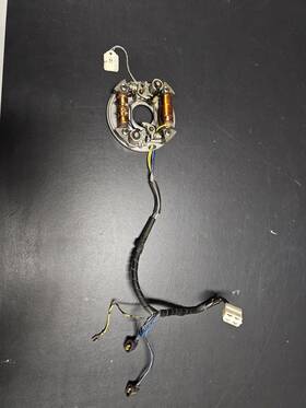 1217032210 Ski-doo 1972 340 Stator Rotax