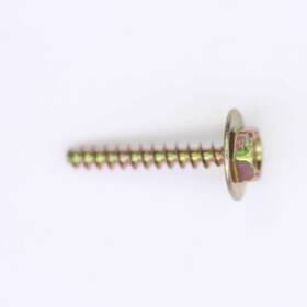 250000101 Ski-doo Screw Plastite Type