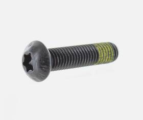 Ski-doo 250000764 Ski-doo Oem Button Head Torx Screw M8 X 35 Qty 2
