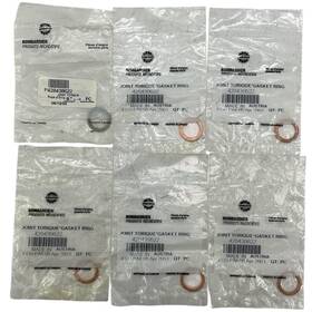 420430622 Ski-doo 6pk - Genuine Bpr Joint Gasket Ring New Old Stock Oem Part
