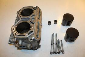 6413300 Ski-doo 2018 Freeride 850 165in Engine Motor Cylinder Bore Jug And Piston