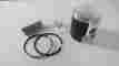 Sm117 Afterm Vintage Snowmobile Ski-doo Elan Ss 294 300 New Piston 0.20 Over