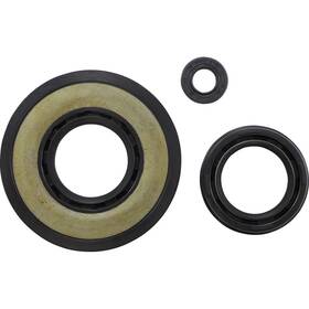 55170 Vertex Oil Seal Kit