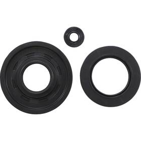 55176 Vertex Oil Seal Kit