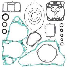 811580 Vertex Complete Gasket Kit With Seals