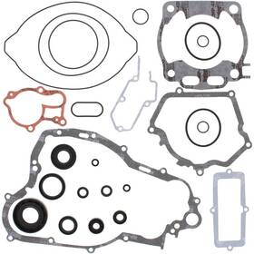 811669 Vertex Complete Gasket Kit With Seals