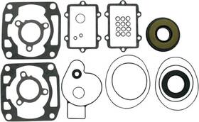 Lj3kjla6ry Vertex Complete Engine Rebuild Gasket Kit W Oil Seals Sabercat 500 128in 06