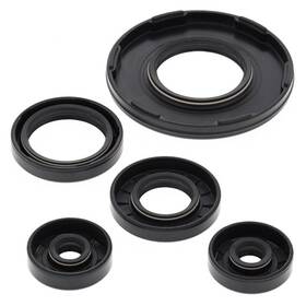 55190 Vertex Pistons Vertex-winderosa Engine Oil Seal Kit #55190 Ski-doo