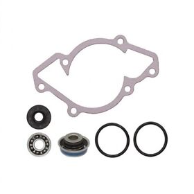 128403 Water Pump Rebuild Kit Replacement For Ski-doo Snowmobiles 128403 Water Pump Rebuild Kit Replacement For Ski-doo Snowmobiles