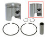 09-684n Wildcat 650 Piston Kit 191361201967