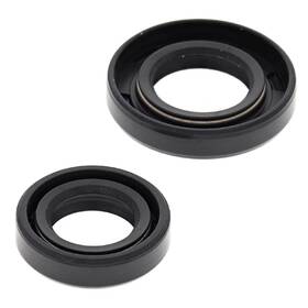 55172 Winderosa Vertex Sealing Gaskets For Arctic Cat Kitty 77-99