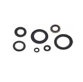 55204 Winderosa Crankcase Oil Seal Kit