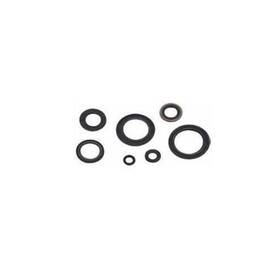 55216 Winderosa Crankcase Oil Seal Kit