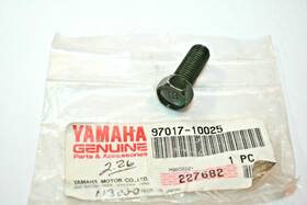 Yamaha 97017-10025 Nos 2005-2024 Snowmobile Atv Utv Balancer Weight Bolt