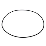 Polaris O-ring (114.02 X 1.78), 5417079. Fixed Price $17.99.
