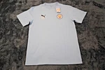 Puma Graphic Tee Shirt Soccer Men Light Blue Small Size / Manchester City. Fixed Price $10.99.