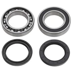Spi Chain Case Bearing & Seal Kit Lower Shaft For Arctic Cat Many 2012-2018 Snow. Fixed Price $29.95.