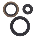 Vertex-winderosa Engine Oil Seal Kit #822143 Polaris. Fixed Price $16.32.