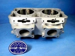 2010 Polaris 800 Replated Cylinder Rmk Pro Assault Dragon 3022201. Fixed Price $849.99.