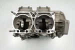 Good 2018-2021 Arctic Cat Zr / Xf Riot 8000 Oem Engine Crank Cases 1901-002. Fixed Price $549.95.