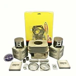New Oem Polaris Nikasil Plated Cylinder 04-18 550F Fan Piston Gaskets Iq Rmk. Fixed Price $749.99.