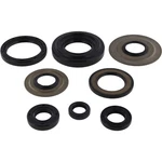 Vertex Engine Oil Seal Kit For Yamaha YFM350 Warrior 1987 - 2004 350CC. Fixed Price $33.33.