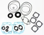 1994 Ski-doo Formula Mach I/gt/se Spi Complete Gasket Kit With Oil Seals. Fixed Price $48.20.