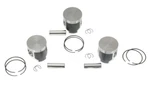 Arctic Cat Zrt 600 Spi Pistons 66.50MM Std Stock Bore 1996 1997 1998 - Set Of 3. Fixed Price $188.88.