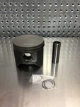 Polaris Piston 2205656 2208214 3023559 3022862 3022518 30222312 3022266 T380. Fixed Price $319.99.