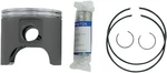 Kimpex 982190 Piston Kit - Standard Bombardier/ski Doo/moto Ski/rotax. Fixed Price $94.99.