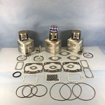 New Arctic Cat 600 Top End Kit Spi Pistons Gaskets 1995-2000 Zrt Powder Ex. Fixed Price $329.99.