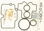 Balls 26-1462 Carburetor Rebuild Kit. Fixed Price $57.19.