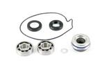 Arctic Wildcat Sport/trail 700, 2015-2020, Water Pump Rebuild Kit. Fixed Price $37.81.