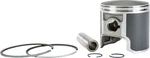 Sports Parts 09-741-01 T-moly Series Piston Kit. Fixed Price $99.99.