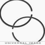 Namura Replacement Piston Ring 74.97MM For Polaris Xplorer 300 1996-1999. Fixed Price $19.73.