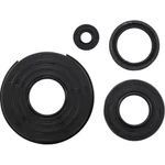Vertex Oil Seal Kit 0935-1229 837058 VEP55158. Fixed Price $17.22.