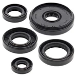 Vertex Oil Seal Kit 822196. Fixed Price $22.13.