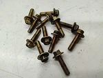 Screw 6MM X1.0 - 2013 Polaris 600 Pro. Fixed Price $11.99.
