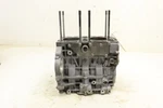 Arctic Cat Stampede Tt Kanati 18 Engine Cases Crankcase 104971 49866. Fixed Price $679.99.